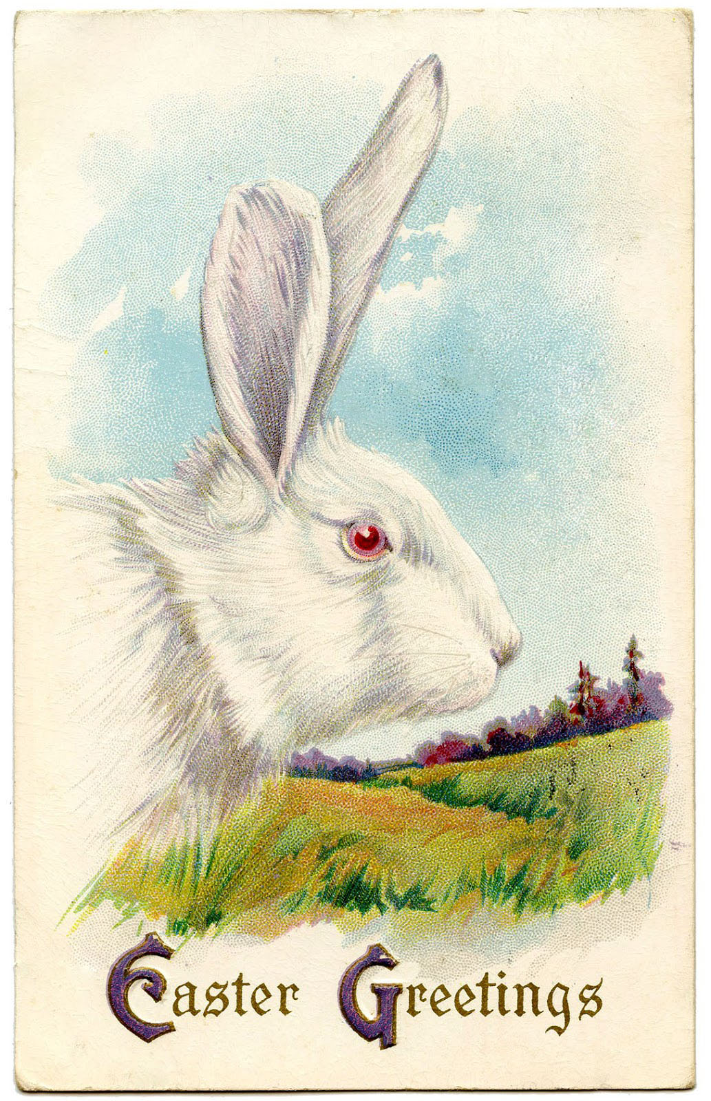 White Easter Bunny Picture