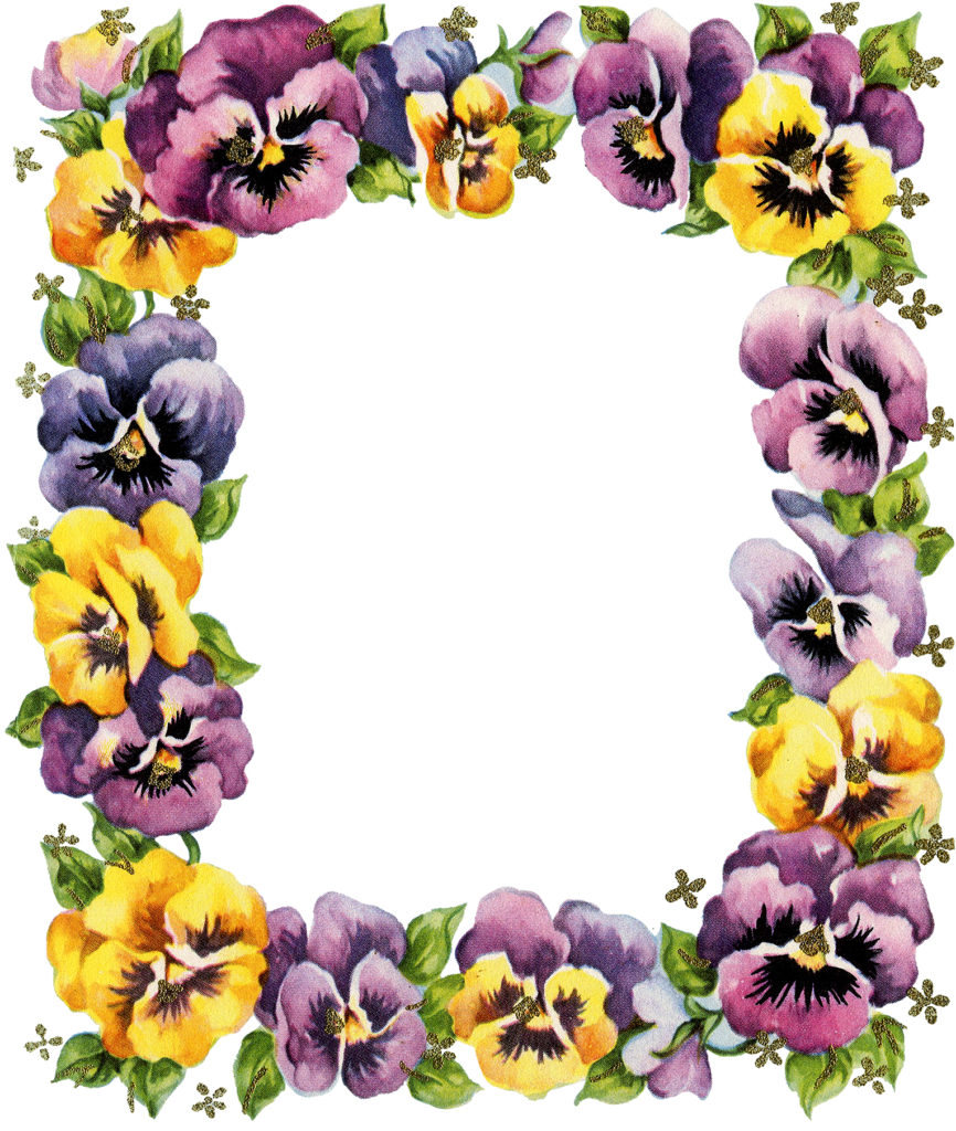 Retro Pansy Graphic Set