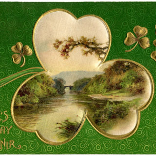 St Pats Clover Picture