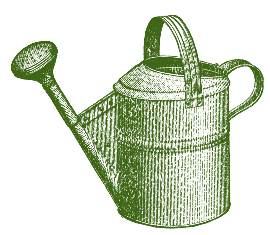 Watering Can VIntage Green Image