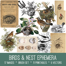 Collage with Birds and nests
