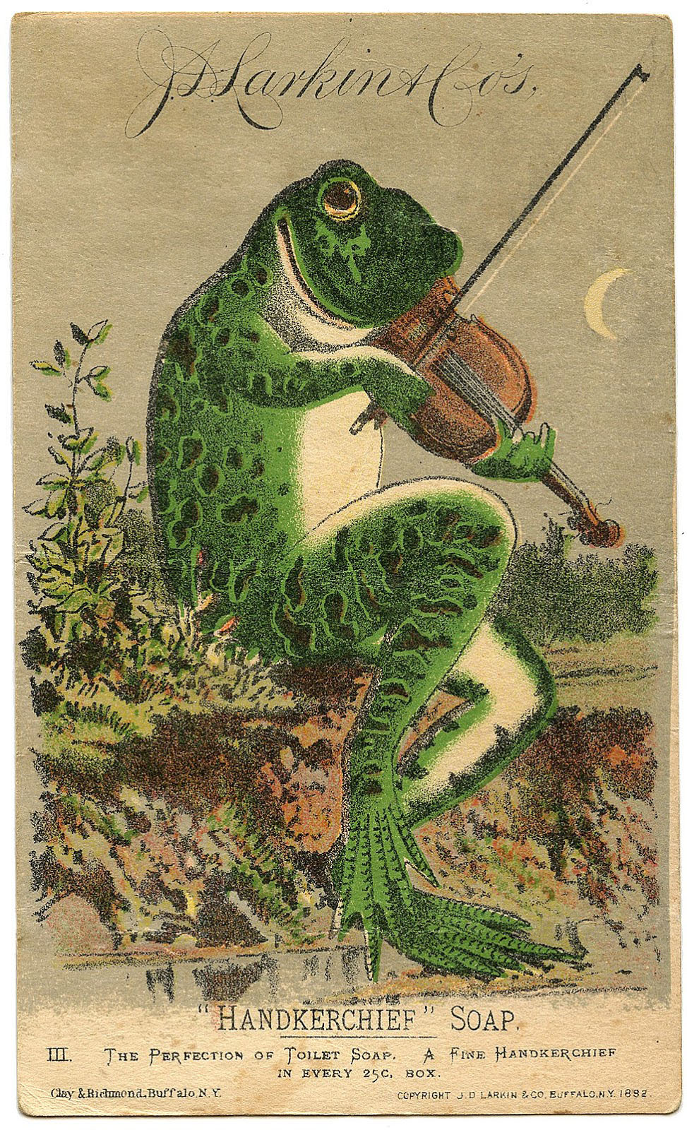 Frog playing a Violin