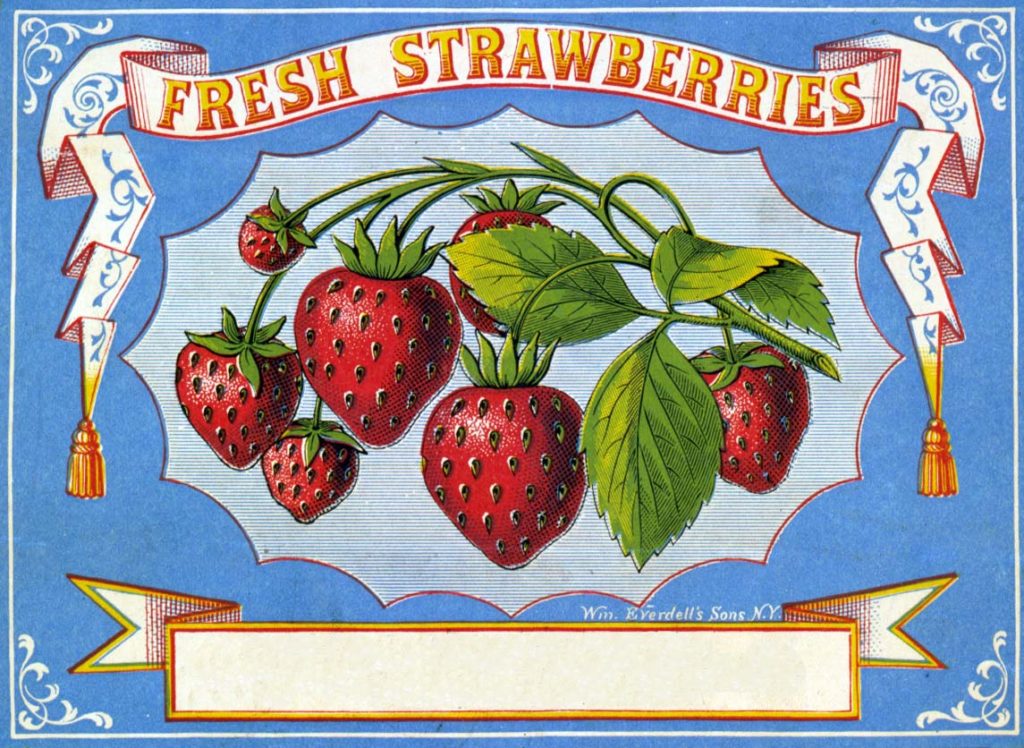 Strawberries Clipart Label