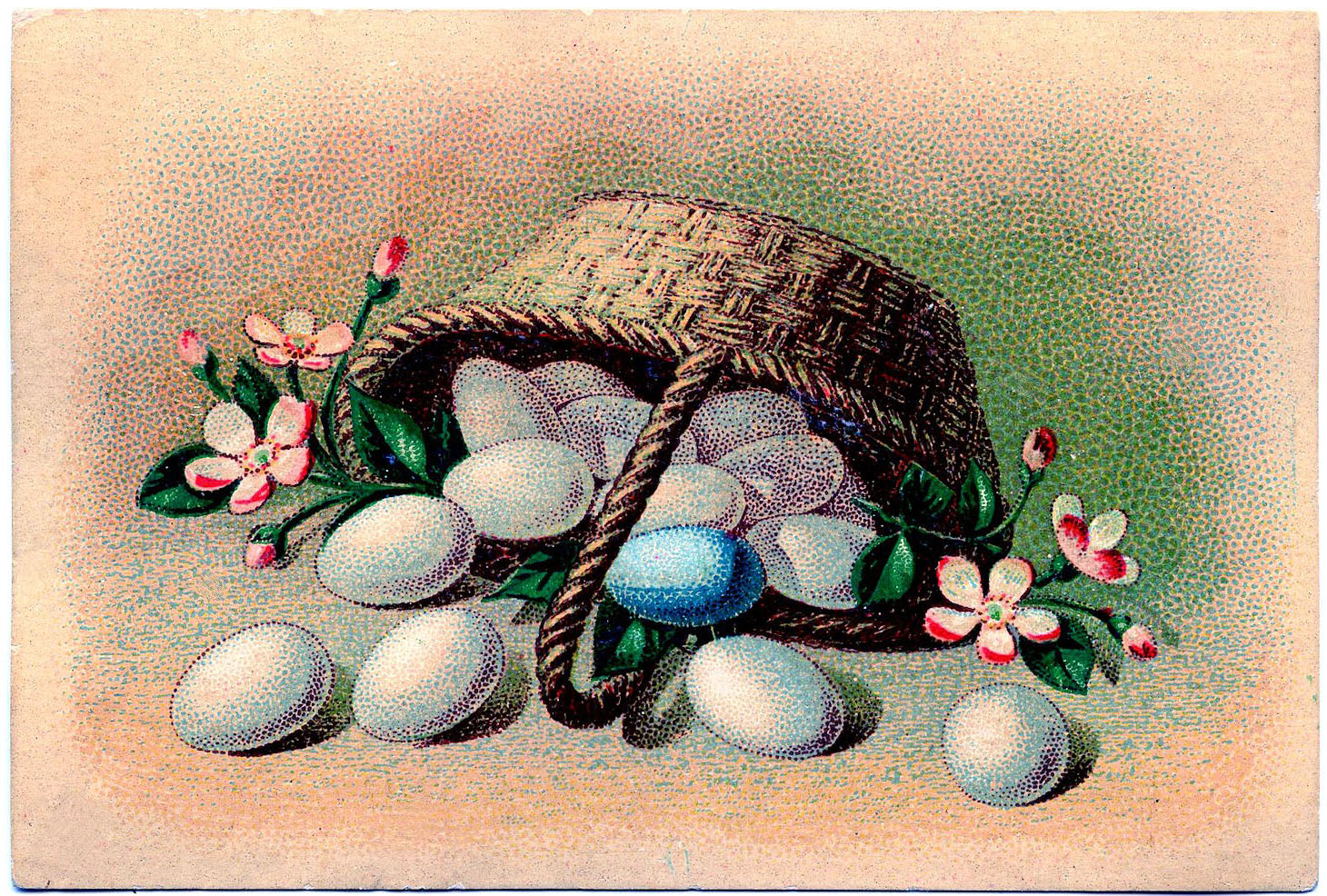 Basket of Eggs Image