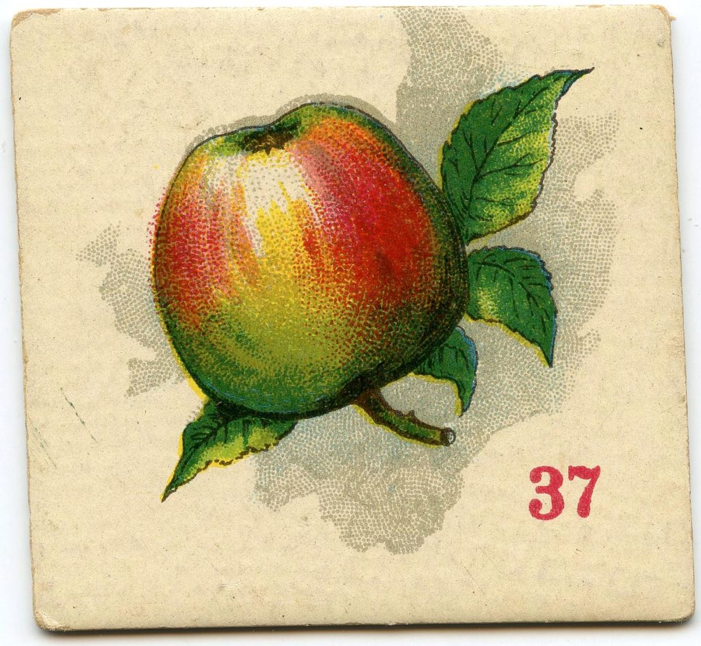 Apple Image Card