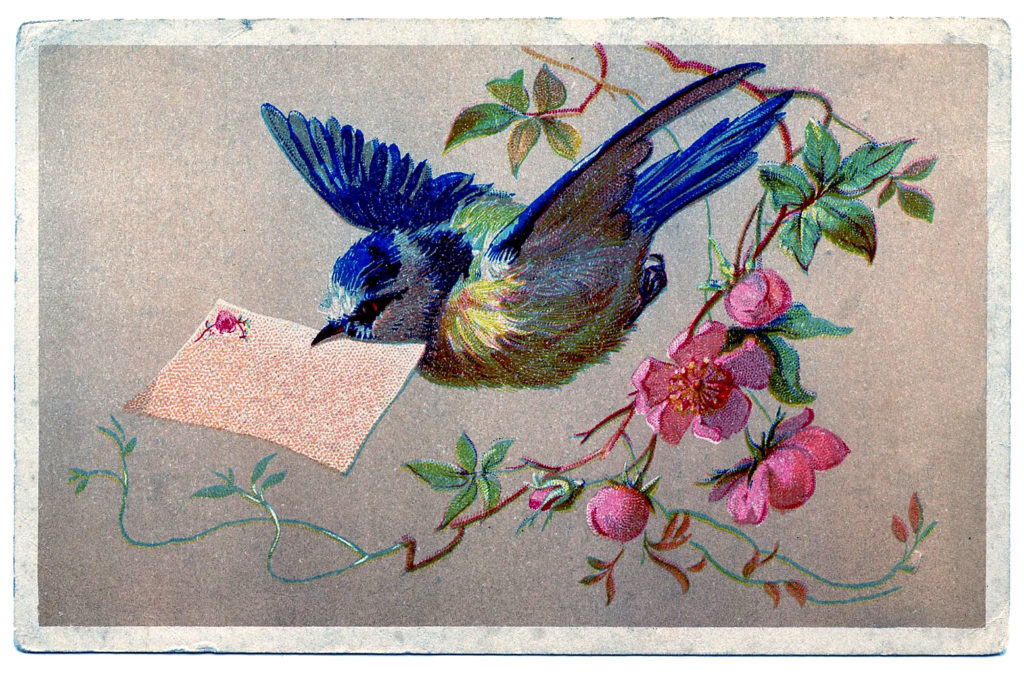 Bluebird with Card in Beek