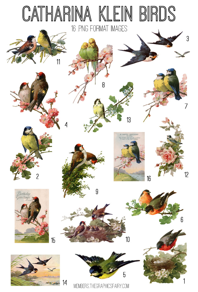 Birds and flowers Collage