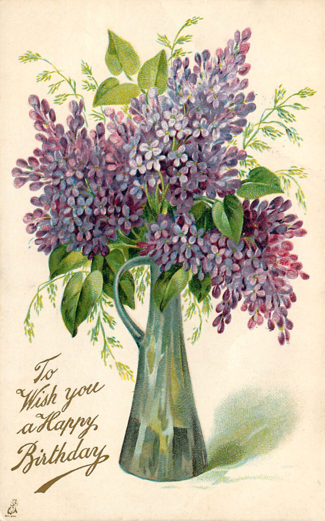 Lilacs in Pitcher Clipart