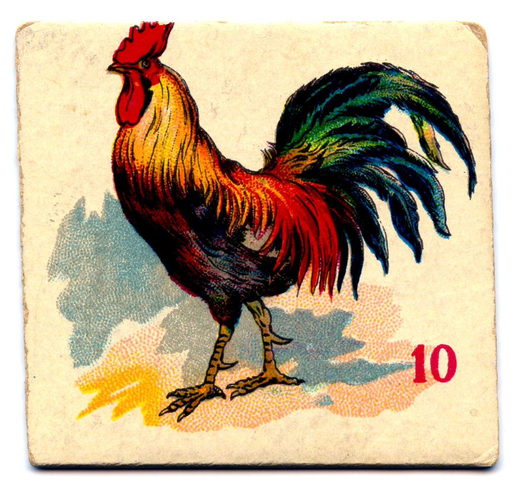 Multi-Colored Rooster Vintage Card #10