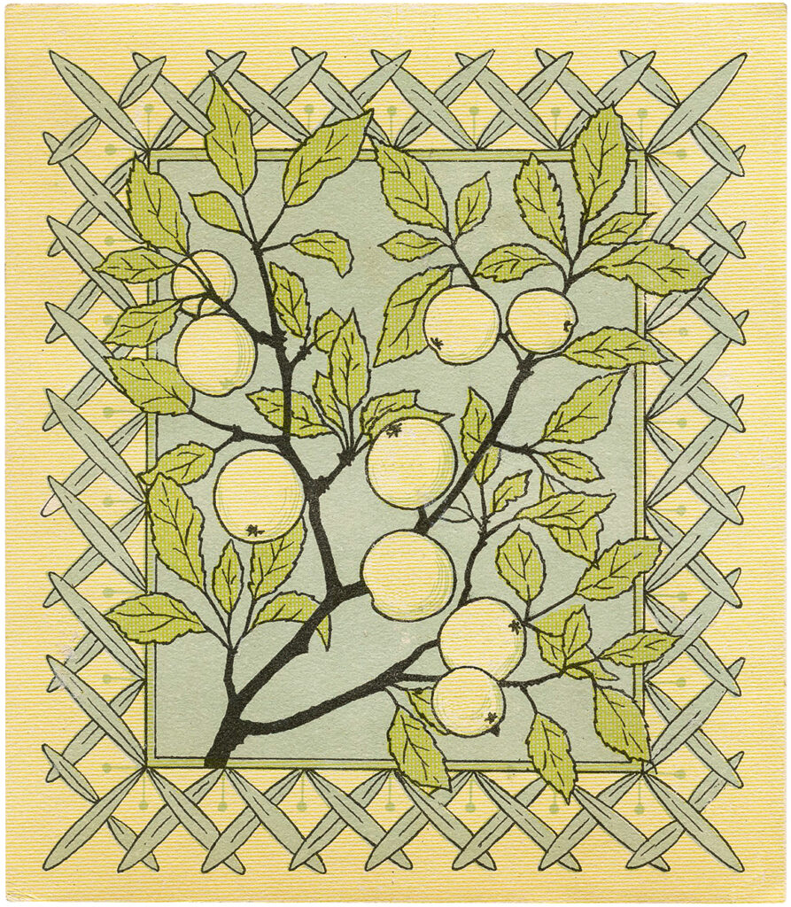 Vintage Fruit Branches Picture