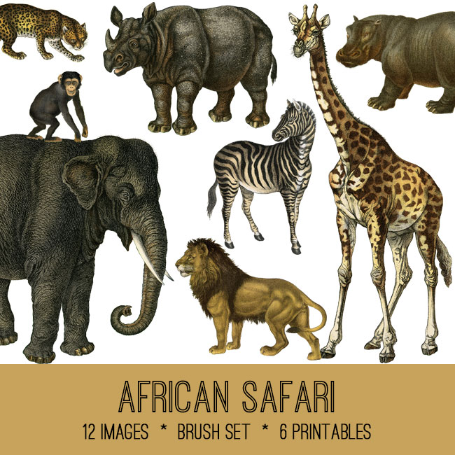 African animals collage