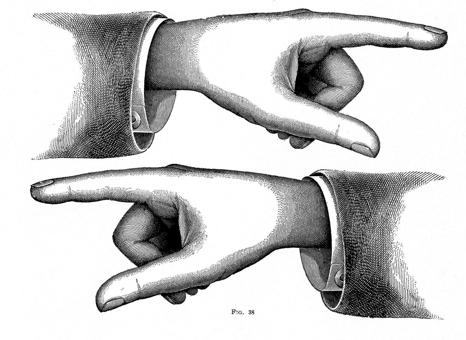 hand facing up drawing