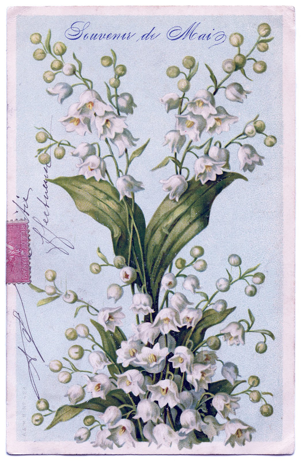 Floral Postcard