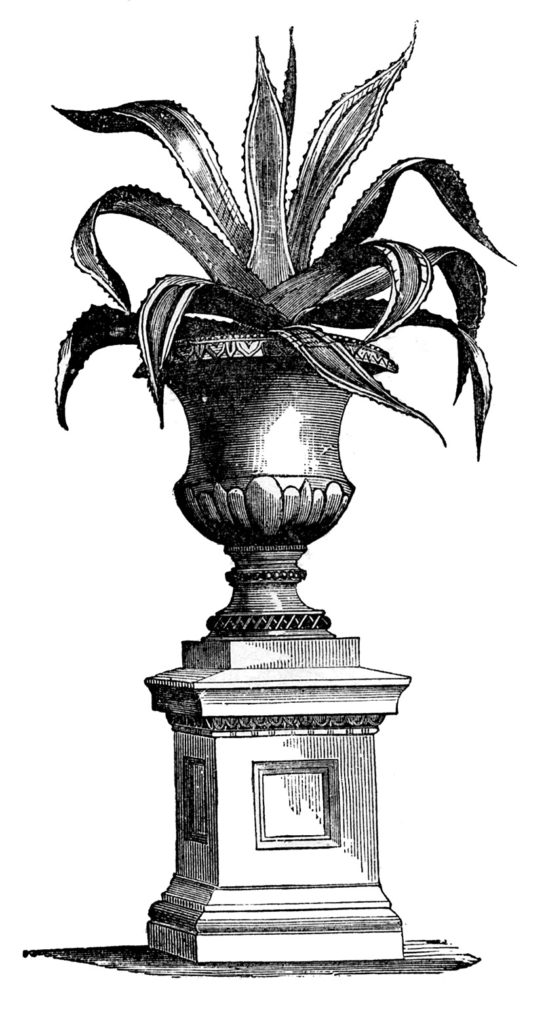 Tropical leaves in Urn Image