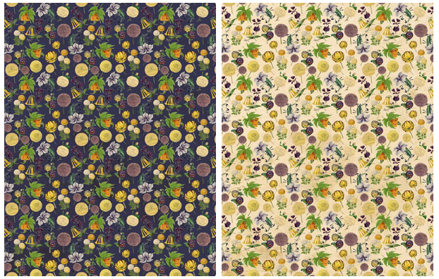 Background pattern Yellow and purple flowers