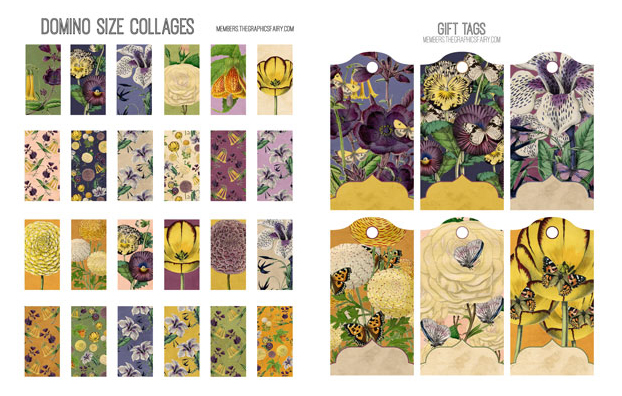 Yellow and purple flowers collage