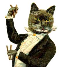 Cat wearing a suit image