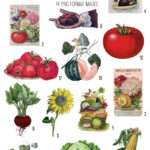Fruit and vegetables collage