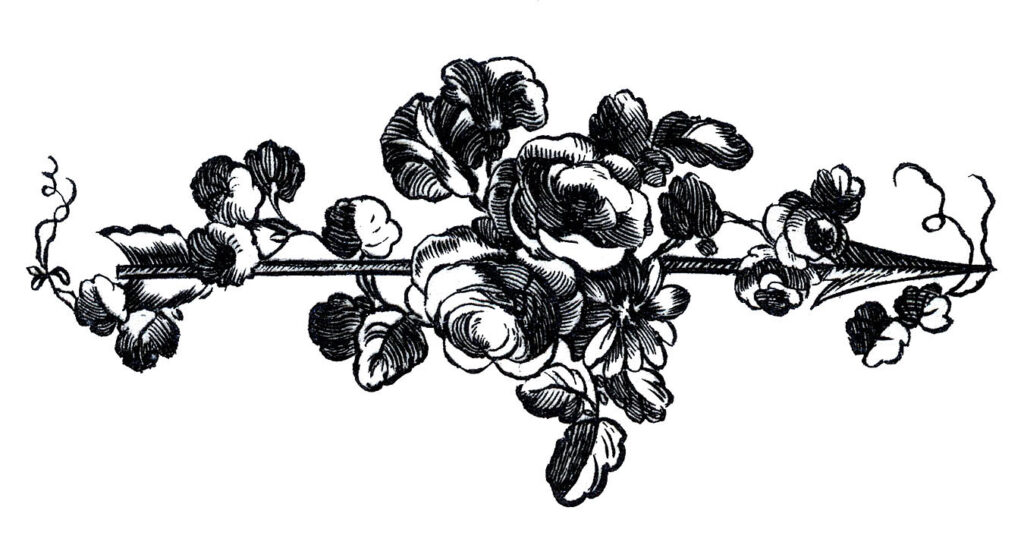 French Roses Picture with Arrow