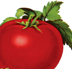 Image and Tomato
