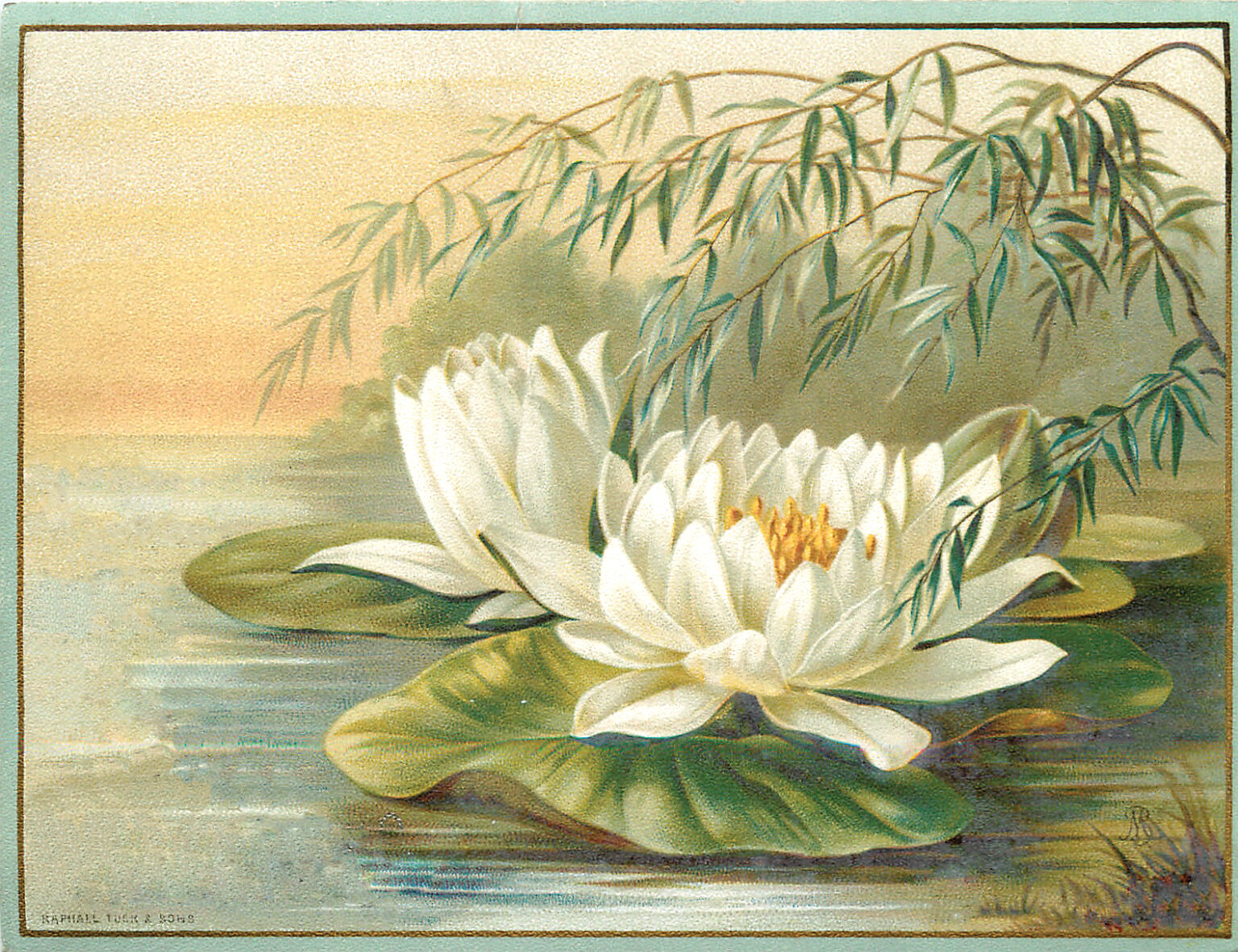 16 Water Lily Clipart (Lotus Flower Pictures) The Graphics Fairy