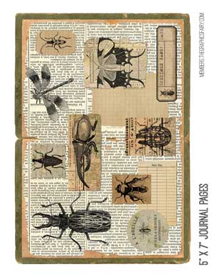 Collage with insects