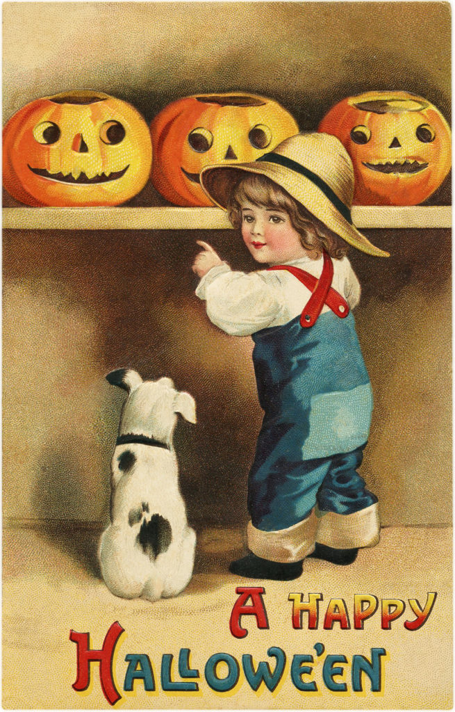 boy pumpkins dog image