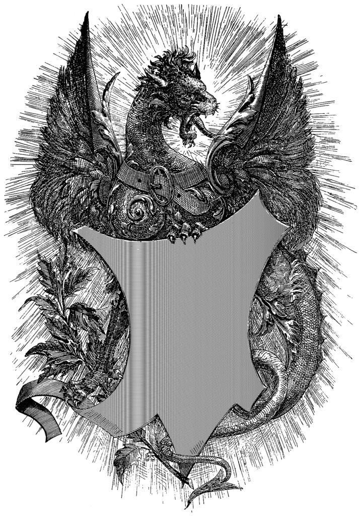 Dragon with Shield Image