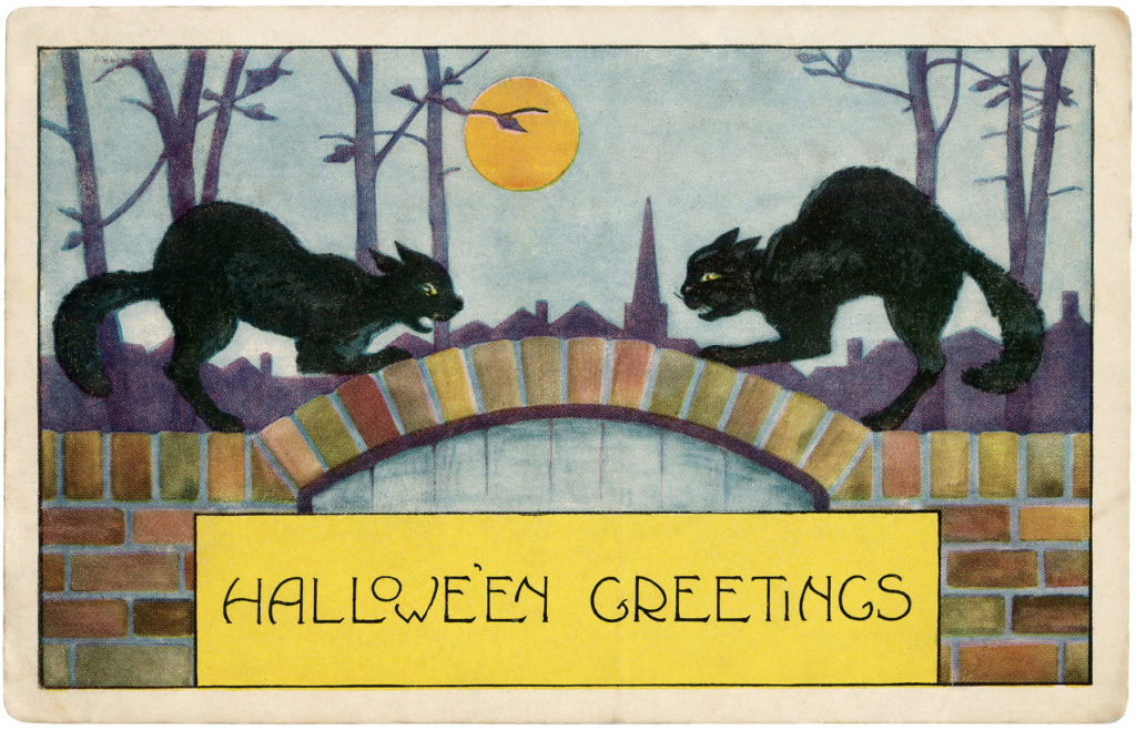 black cats fighting scary halloween vintage