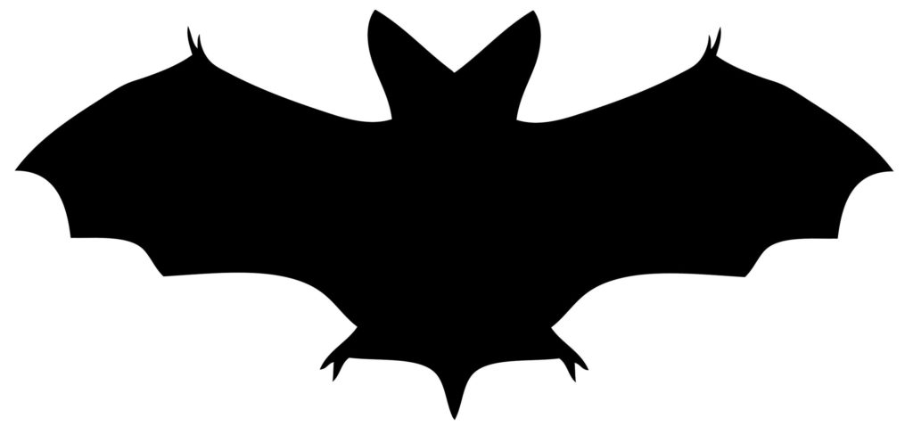 Halloween Bat Silhouette