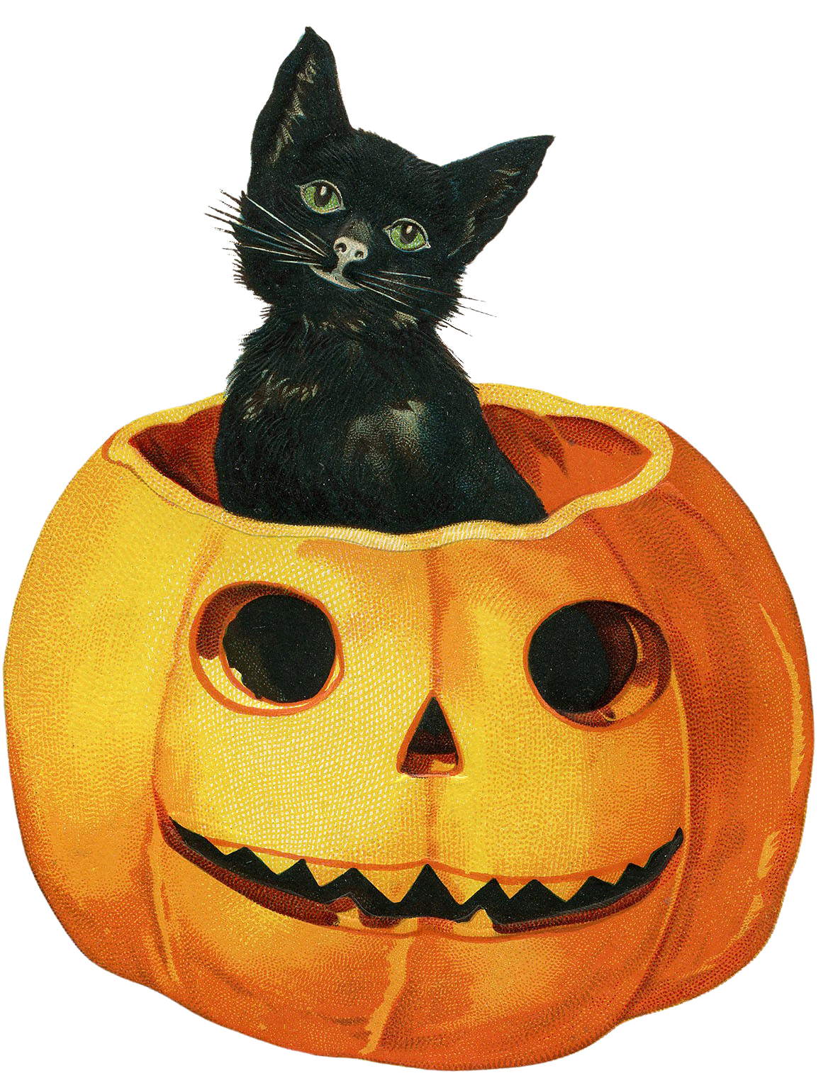 Halloween Cat Clipart