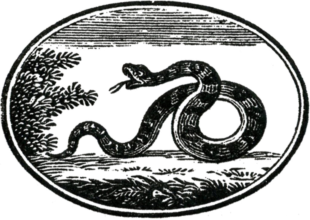 halloween snake label vintage image