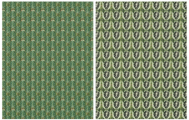 Background pattern Tropical Leaves collage