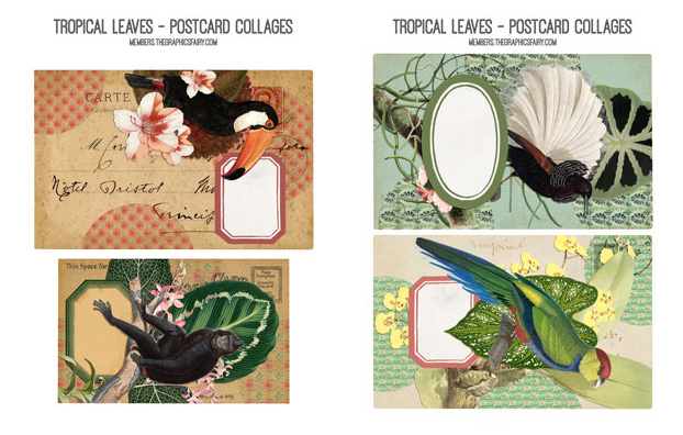 Tropical collage with birds