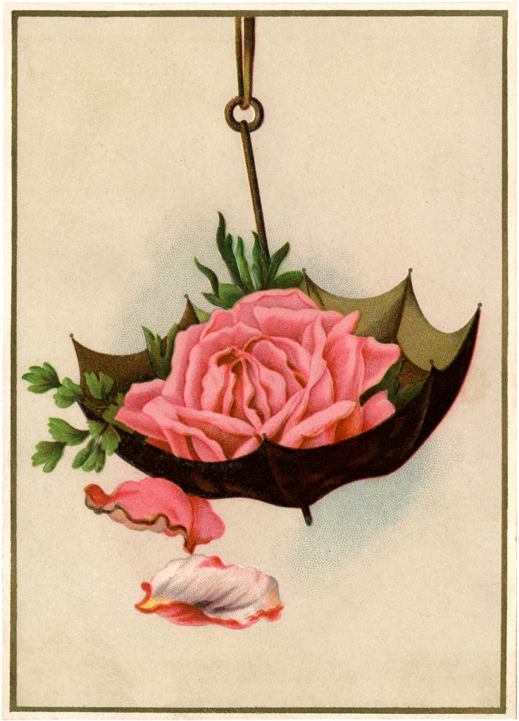 shabby roses umbrella illustration