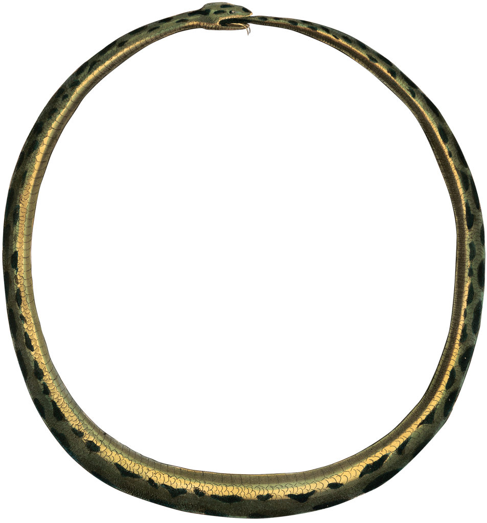 Snake Frame Image