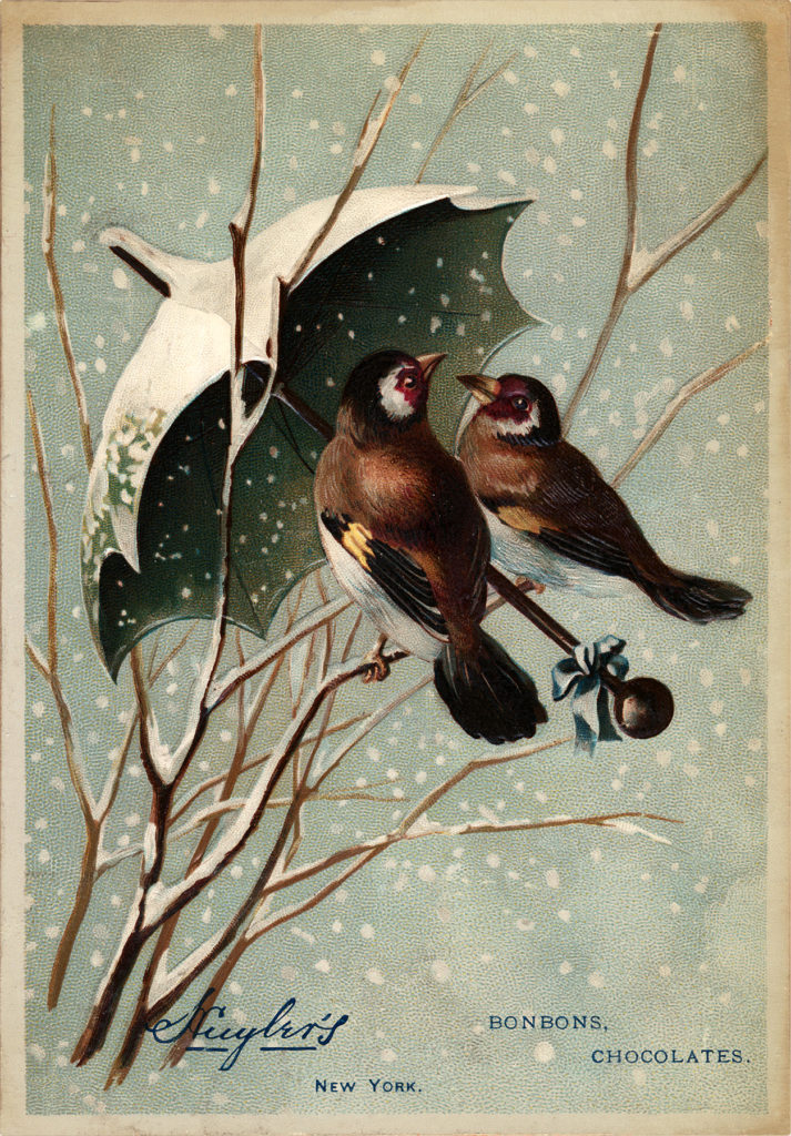 umbrella birds snowing illustration