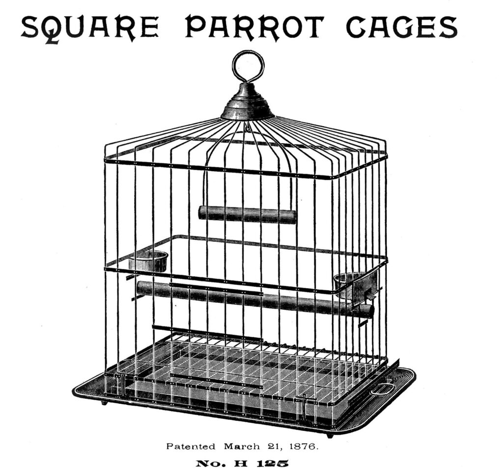 Parrot Cage clipart