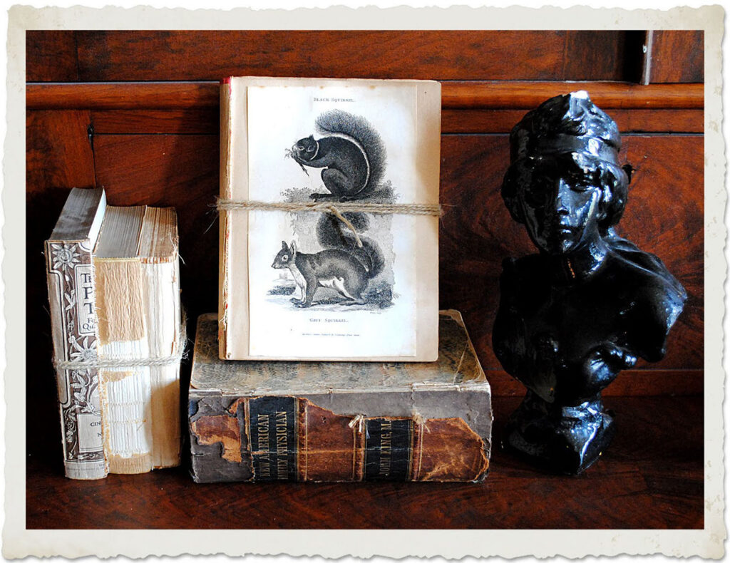 Squirrel Print Display with old books and bust