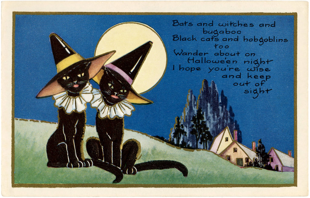 black cats moon witch