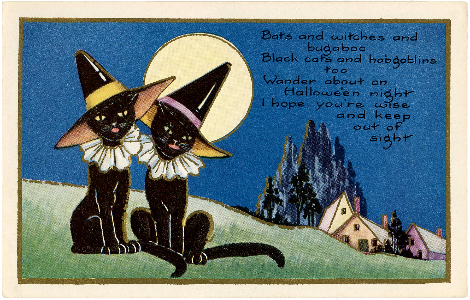 Vintage Halloween Photograph Prim Witch with Big Black Cat Antique RePrint #763 