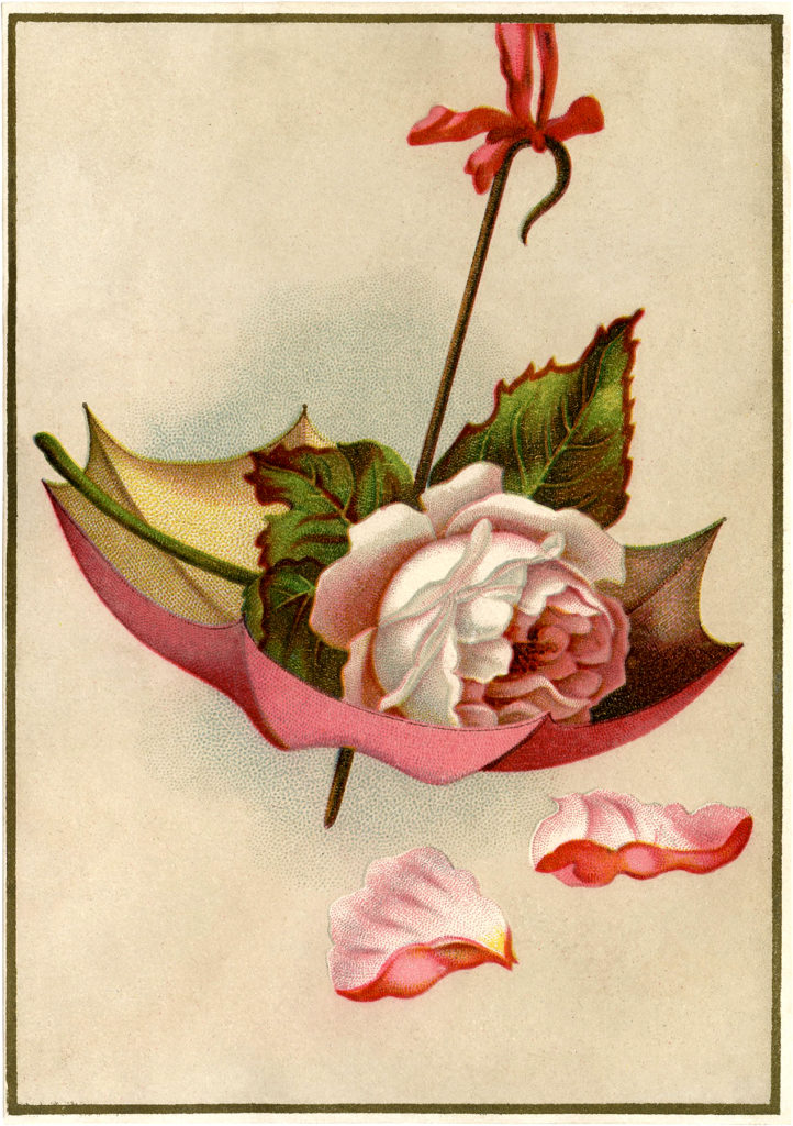 vintage umbrella rose image