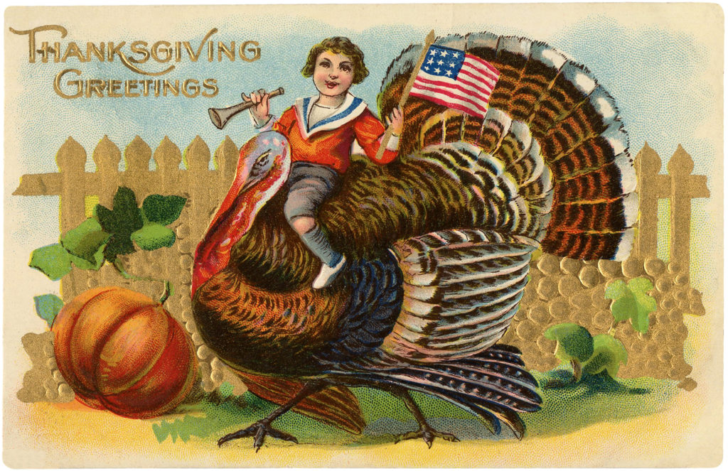 Boy Flag Turkey Thanksgiving Image