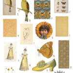 Yellow ephemera collage with ladies and birds