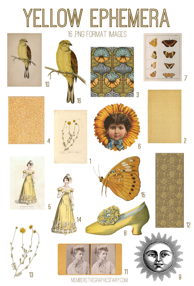 Yellow ephemera collage with ladies and birds