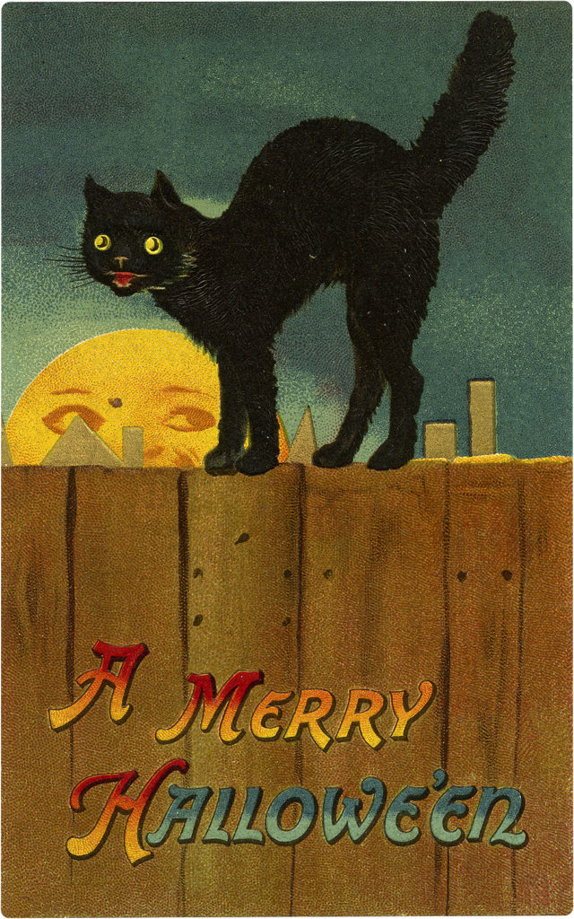 black cat fence moon vintage Clipart