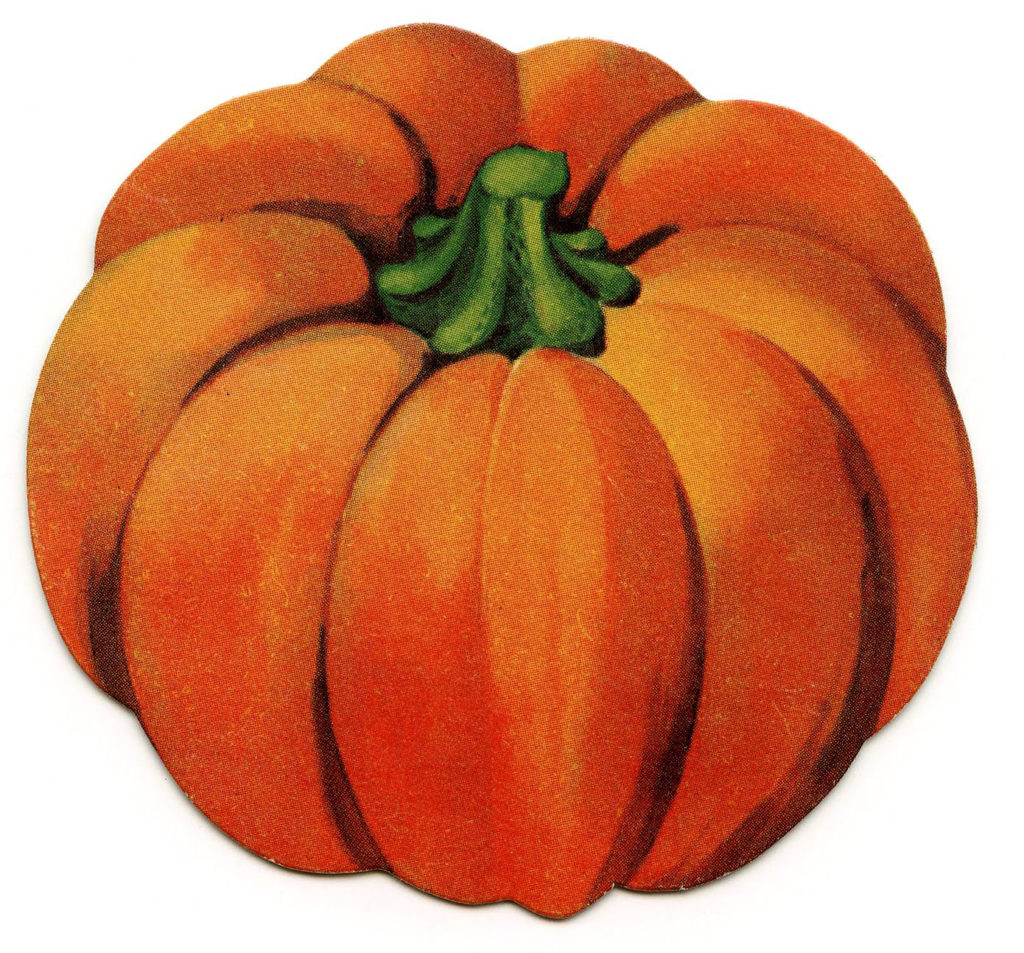 orange pumpkin illustration