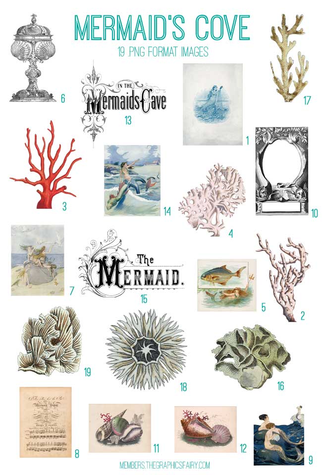 Ocean collage with mermaids and shells
