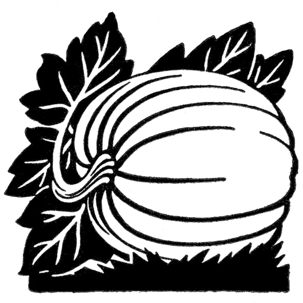 black white pumpkin clip art