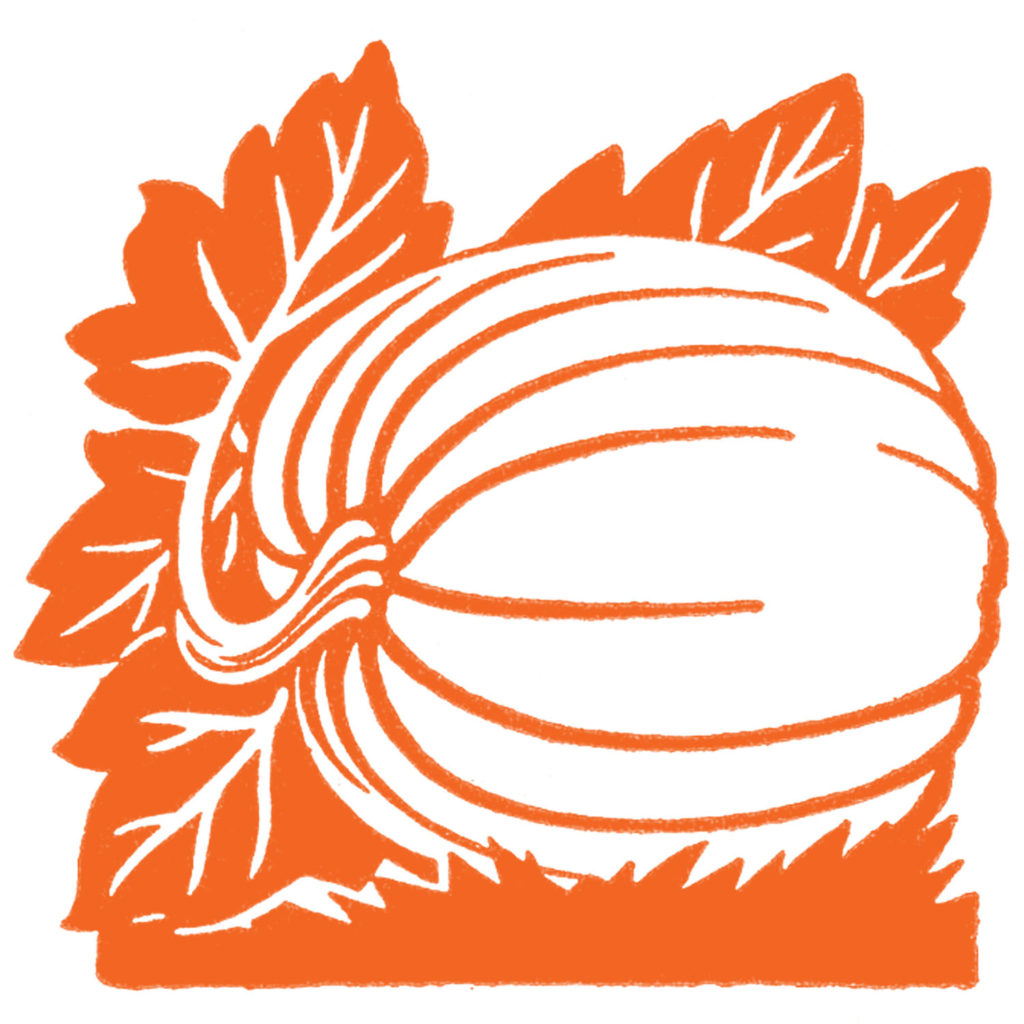 pumpkin vine orange clipart